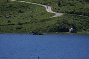 Riesachsee
