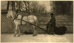 Kutscher mit Pferd