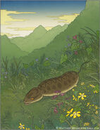 Tsuchinoko