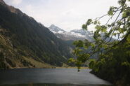 Riesachsee