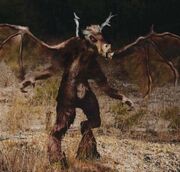 Jersey-devil