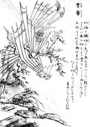 Hone karakasa