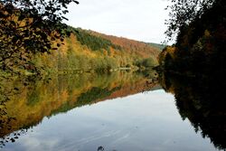 Langenprozelten