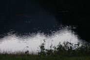 Riesachsee