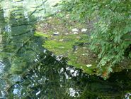 Christlessee