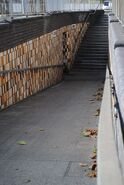 Rattenmann-Tunnel