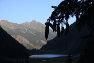 Riesachsee