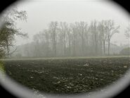 Aubinger Lohe