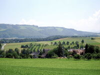 Unter-Rifferswil