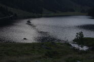 Riesachsee