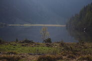 Riesachsee