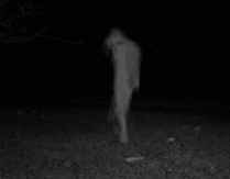 Skinwalker 2.jpg