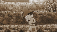 Kawauso