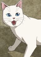 Nekomata