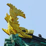 Shachihoko