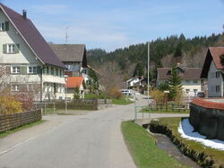 Bolsternang