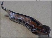 Tsuchinoko