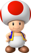 Toad