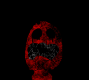 Schreiende Puppe