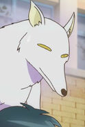 Kitsune