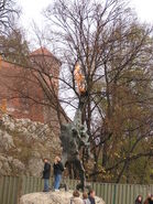 Wawel-Drache