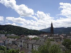 Freiburger Schlossberg