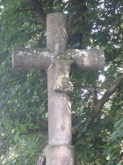 Spinnjungfernkreuz