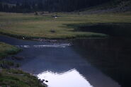 Riesachsee