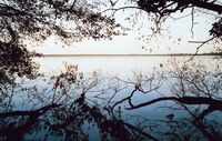 Arendsee