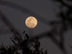 Vollmond