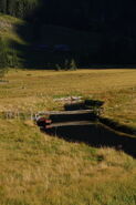 Riesachsee