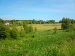 Schlawe