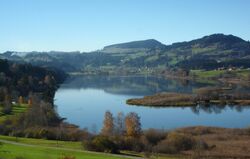 Niedersonthofenersee