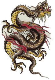 Ao Qin.jpg