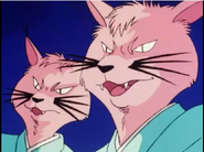 Kūko
