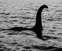 Nessie
