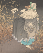 Hakuzōsu