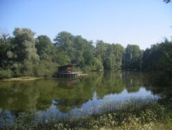 Niederalteich