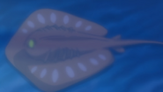 Akaei