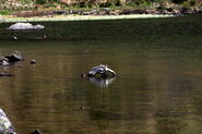 Riesachsee