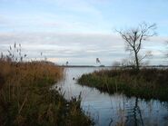 Galenbecker See
