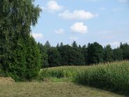 Aubinger Lohe