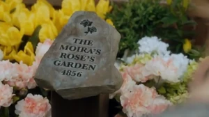 The Moira's Rose's Garden