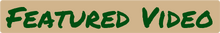 FeaturedVideo.png