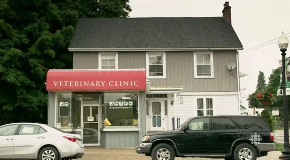 Schitt's Creek Veterinary Clinic Schitt's Creek Wiki Fandom