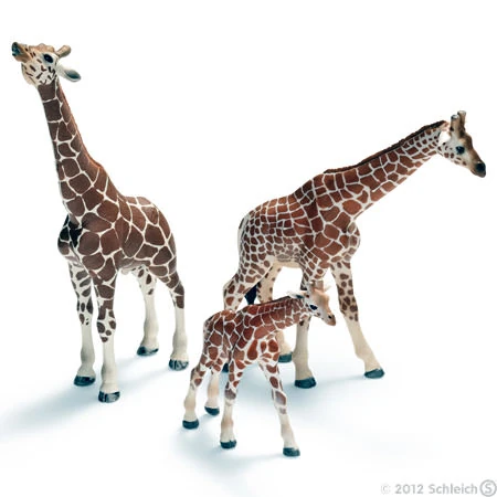 Giraffen | Schleich Wiki | Fandom
