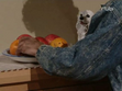 Folge 11 (erster Auftritt) (kein Text)