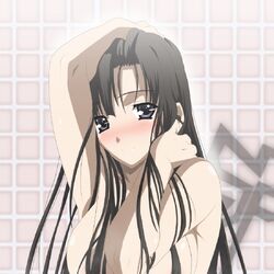Youko School Days Wiki Fandom Youko School Days Wiki Fandom