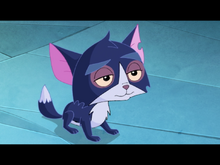 Image-2.png