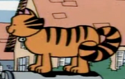 MrMortonsCat